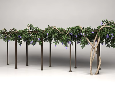 Outdoor Pergola With Lush Green Vines Purple Flowers And Metal Supports 3d model