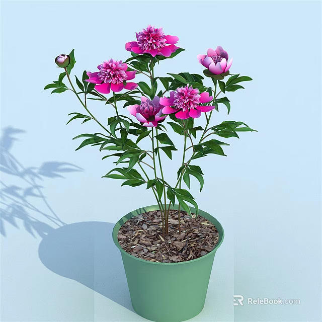 Beautiful Potted Bonsai Plant With Pink Flowers And Green Leaves In Green Pot 3d model 