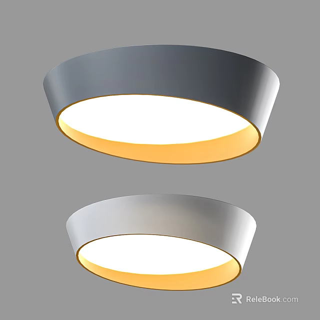 Modern Two Round Ceiling Lights With Gray Frame And Yellow White Lighting 3d model 