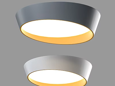 Modern Two Round Ceiling Lights With Gray Frame And Yellow White Lighting 3d model