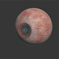Realistic Human Eye Organ Model With Visible Blood Vessels Brown Iris And Pupil Reflection
