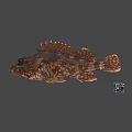 Brown Fish With Large Eyes And Colorful Rubik's Cube On Gray Background