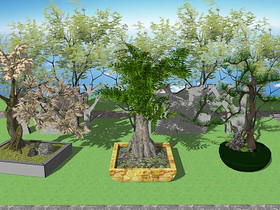 Beautiful Bonsai Potted Plants In Diverse Containers On Lush Green Grass 3d model