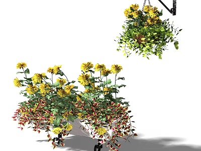 Hanging Basket Plants With Yellow Flowers And Trailing Greenery For Decor 3d model