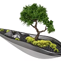 Bonsai Potted Plants In Unique Metal Containers With Moss And Small Trees On White Pedestals