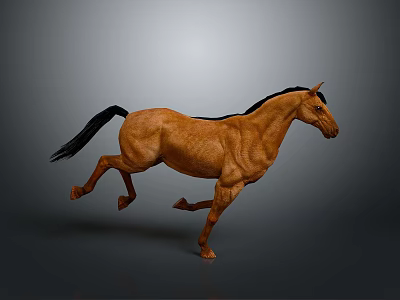 Horse Big Horse Wild Horse Racing Horse Sweat Blood BMW BMW Horse Animal Training 3d model