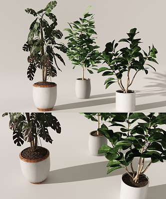 Modern potted combination 3d model