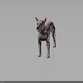 Hairless Pink And White Spotted Dog With Erect Ears Standing On Dark Reflective Floor