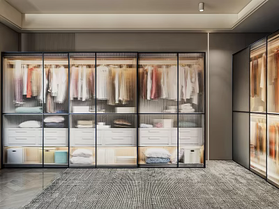 Elegant Modern Walk in Closet Interior With Glass Door Wardrobes Hanging Clothes And Storage Drawers 3d model