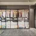 Elegant Modern Walk in Closet Interior With Glass Door Wardrobes Hanging Clothes And Storage Drawers