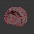 Rock Cave Shaped Scene Prop With Textured Surface And Hollow Design