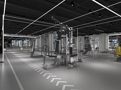 Modern Fitness Gym With Diverse Workout Equipment And Spacious Training Space 3d model