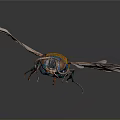 Detailed Vibrant Rainbow Colored Insect With Transparent Wings On Dark Background