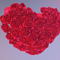 Romantic Red Roses Artistically Arranged Forming a Heart Shape with Vibrant Petals