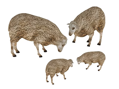 Various Reptile Creatures in Different Sizes and Natural Standing Poses 3d model