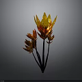 Vibrant Red and Yellow Flower Plant with Petals and Black Stems on Gray Background