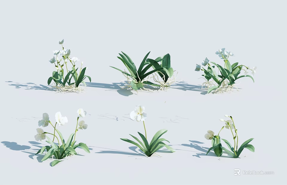 Multiple White Flowers With Green Leaves In Decorative Potted Plants Arranged On Light Background 3d model 