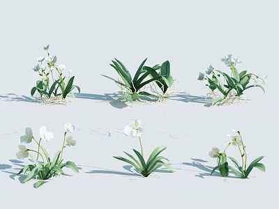 Multiple White Flowers With Green Leaves In Decorative Potted Plants Arranged On Light Background 3d model
