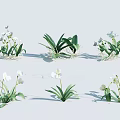 Multiple White Flowers With Green Leaves In Decorative Potted Plants Arranged On Light Background