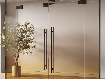 Modern Frosted Glass Door With Black Handles And Indoor Plant 3d model
