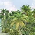 Tropical Coastal Garden Landscape With Lush Palm Trees Dense Foliage And Sea View