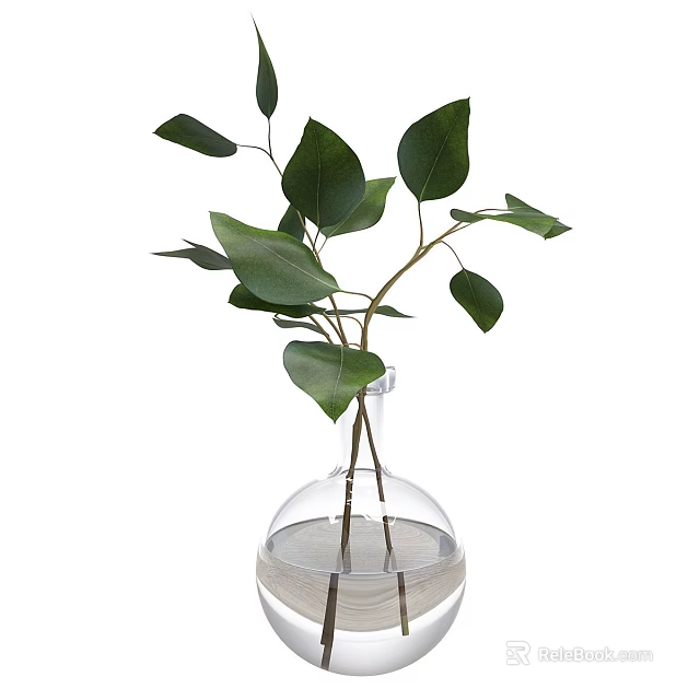 Modern Decorative Ornament Set With Transparent Glass Vase Containing Green Leaf Plant And Water 3d model 