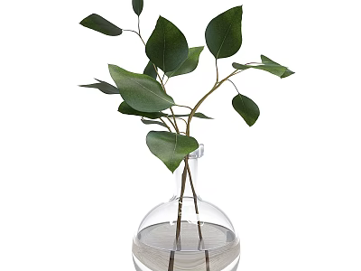 Modern Decorative Ornament Set With Transparent Glass Vase Containing Green Leaf Plant And Water 3d model