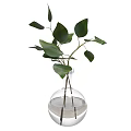 Modern Decorative Ornament Set With Transparent Glass Vase Containing Green Leaf Plant And Water