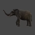 Majestic Elephant Standing With Raised Trunk And Shadow On Beige Background