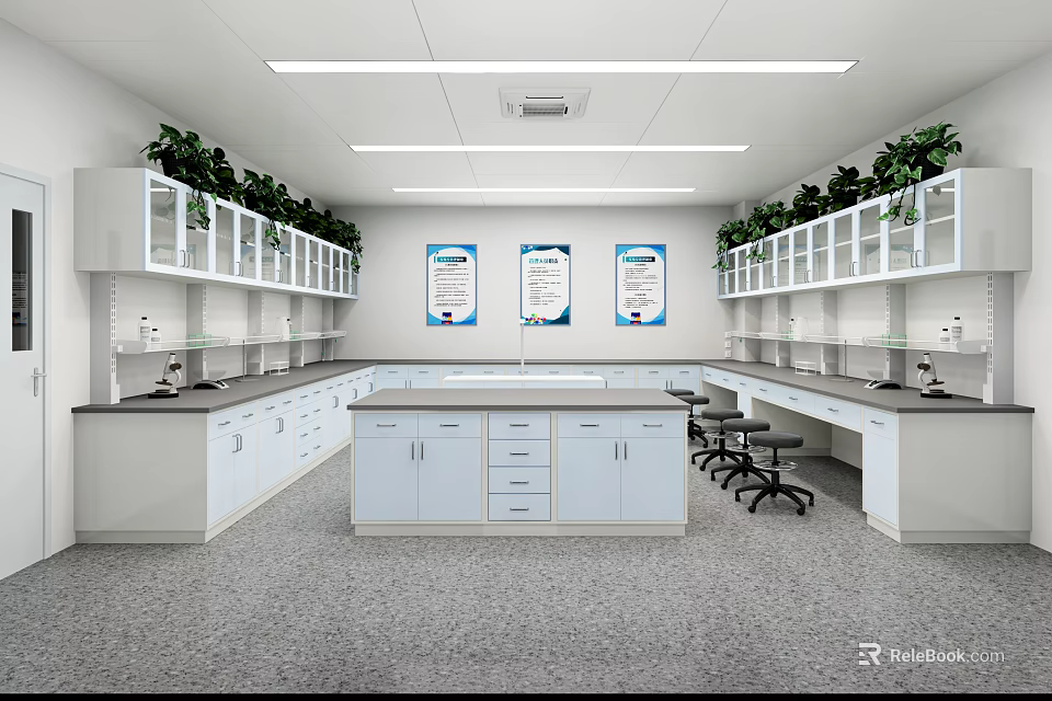 White Laboratory Interior With Lab Benches Central Island Cabinets Plants And Wall Posters 3d model 
