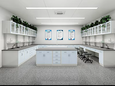 White Laboratory Interior With Lab Benches Central Island Cabinets Plants And Wall Posters 3d model