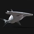Realistic White Shark Model With Sharp Teeth And Detailed Fins 3d model