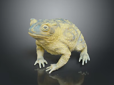 Yellow Blue Toad With Rough Skin Texture On Black Reflective Surface 3d model