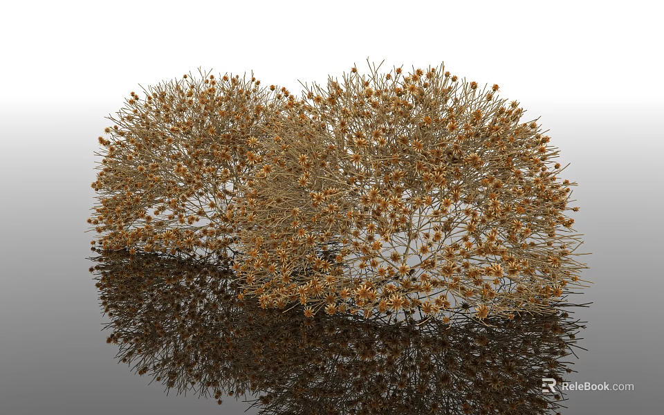 Golden Round Shaped Shrubs With Twigs And Small Blooms Reflection On Smooth Surface 3d model 
