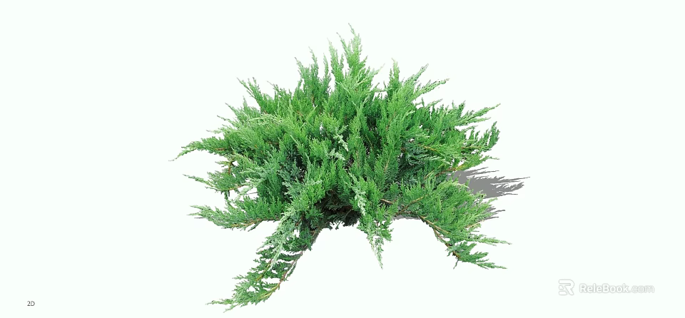 Vibrant Lush Green Shrub With Dense Foliage And Healthy Evergreen Branches 3d model 
