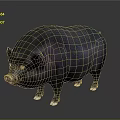 Detailed Black Plump Pig with White Hooves Isolated on Dark Background