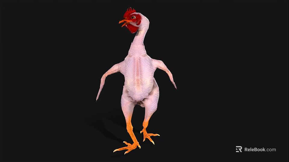 Featherless Chicken With Red Comb And Yellow Feet On Black Background 3d model 