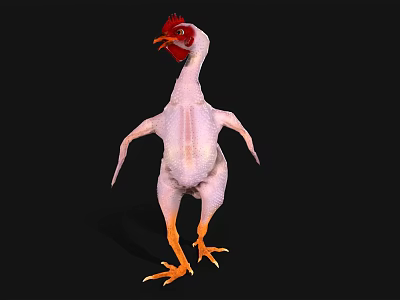 There are animated dancing chicken hair-pulling chicken coquettish chicken funny spoof advertising animals. 3d model