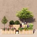 Decorative Bonsai Potted Plants Featuring Different Tree Shrubs and Flowers in Wooden Planters