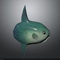 3D Designed Turquoise Fish Character With Plump Body Large Eyes And Shiny Fins