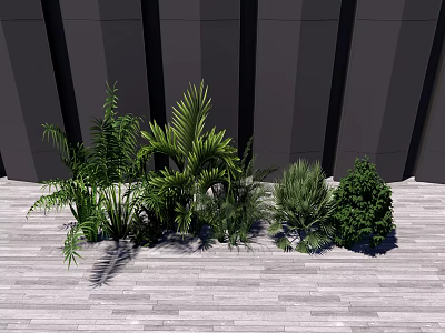 Outdoor Shrub Landscaping With Palm Plants And Green Foliage On Wooden Deck Against Dark Wall 3d model
