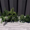 Outdoor Shrub Landscaping With Palm Plants And Green Foliage On Wooden Deck Against Dark Wall