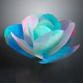 Artistic Translucent Flower With Colorful Blue Pink White Petals On Dark Background