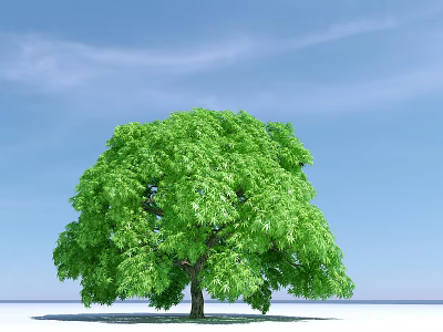 The Modern Tree 3d model The Modern Tree 3d model