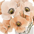 Decorative Ornament Set With Pink Poppy Flowers In Transparent Glass Vase