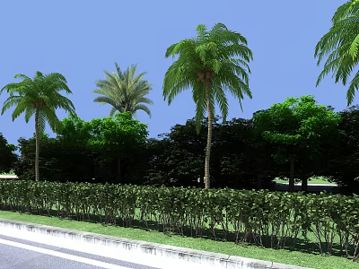 Landscaped Municipal Road With Palm Trees Green Shrubs Grass And Blue Sky 3d model