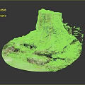 Organic Wooden Stone Tree Stump Featuring Exposed Roots And Green Plants Around
