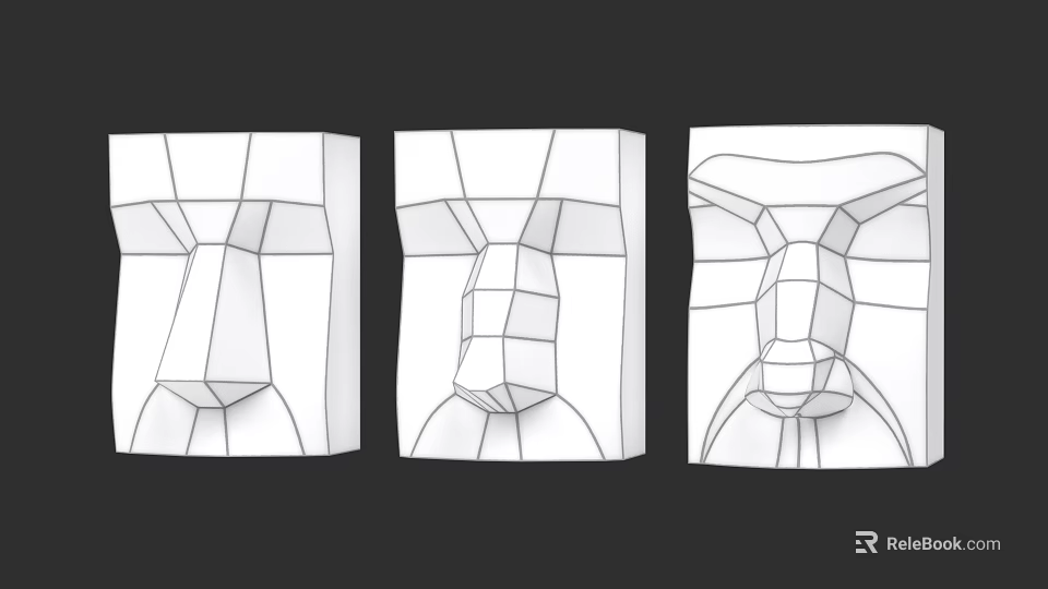 Anatomical Nose Line Drawings Showing Structural Details From Different Angles 3d model 