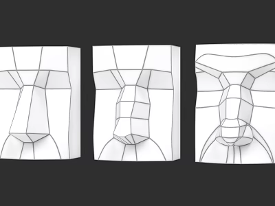 Anatomical Nose Line Drawings Showing Structural Details From Different Angles 3d model