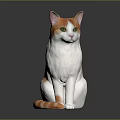 Orange And White Cat With Green Eyes Sitting On Glossy Black Surface